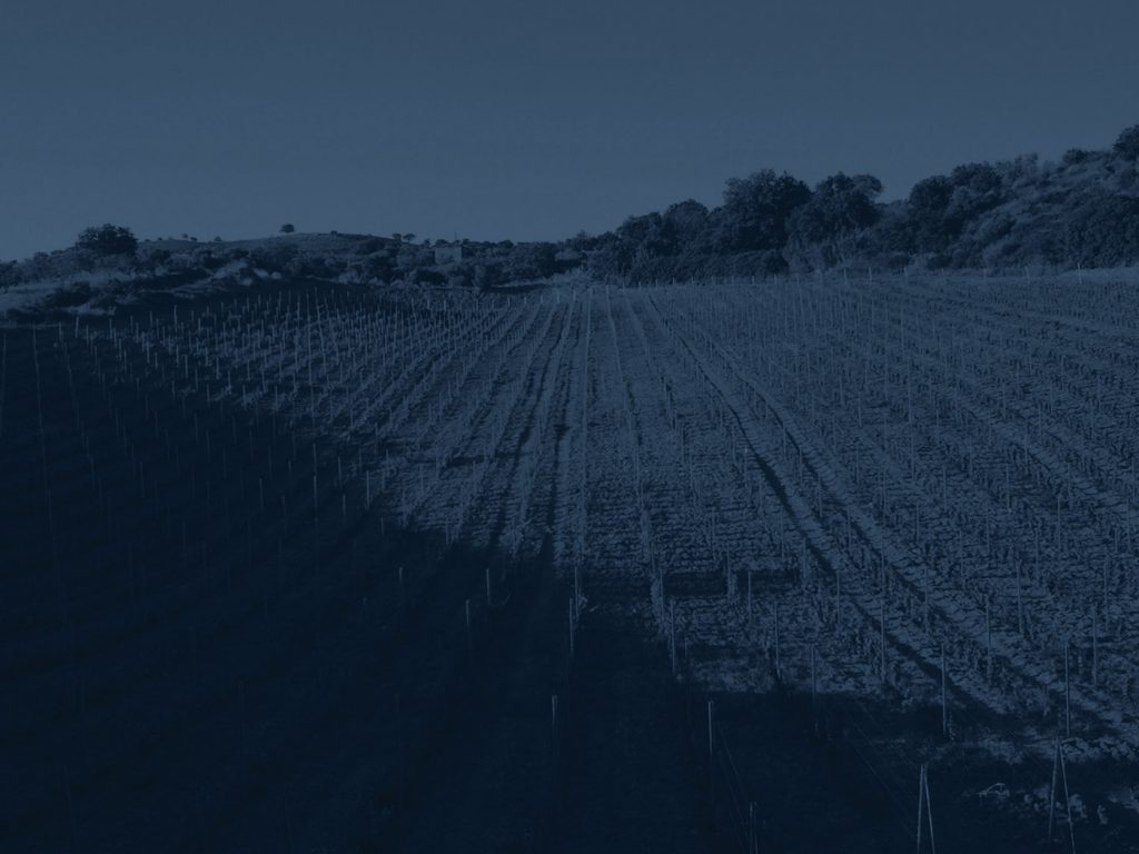 news alovini